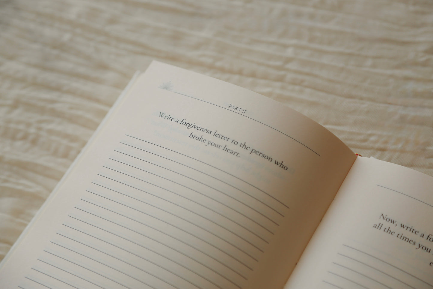 DARE TO LOOK WITHIN JOURNAL