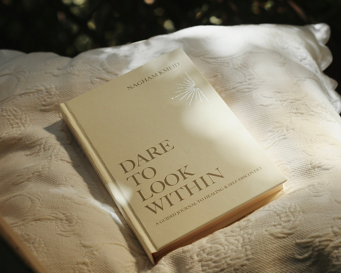 DARE TO LOOK WITHIN JOURNAL